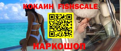 стафф Камышлов