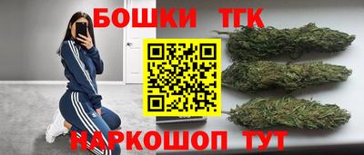 стафф Камышлов