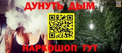 стафф Камышлов