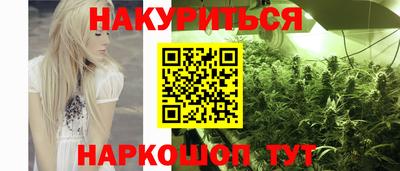 стафф Камышлов
