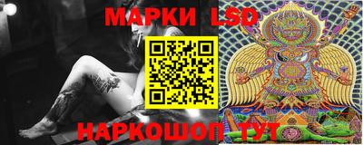 стафф Камышлов