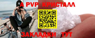 стафф Камышлов