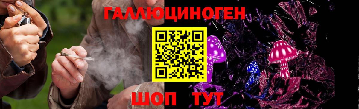 Кулебаки  как найти наркотики  Вход с VPN  Псилоцибиновые грибы мицелий 
